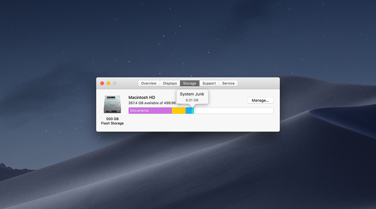 mac system storage is huge